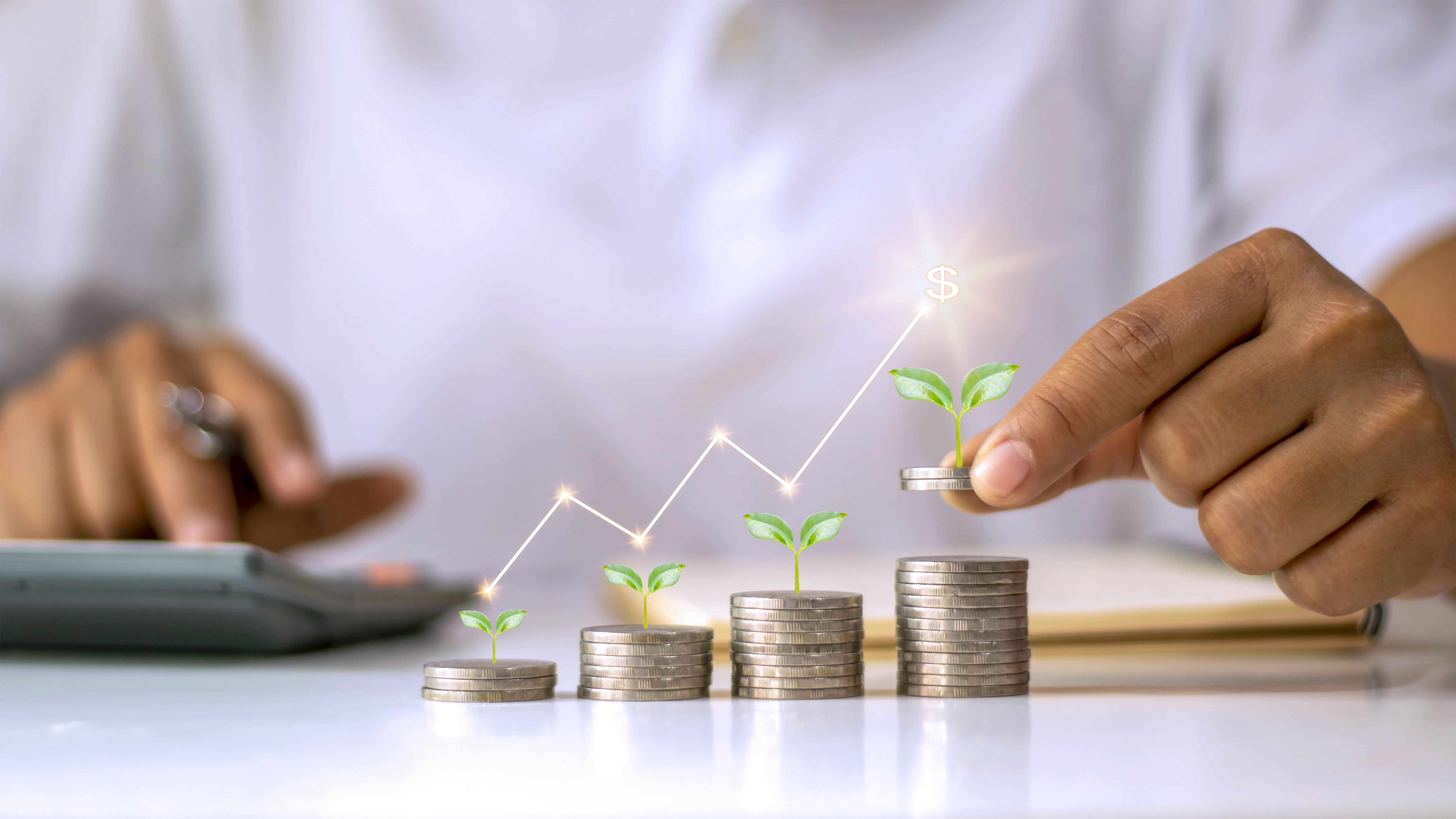 Expenditure of Waqf Revenues