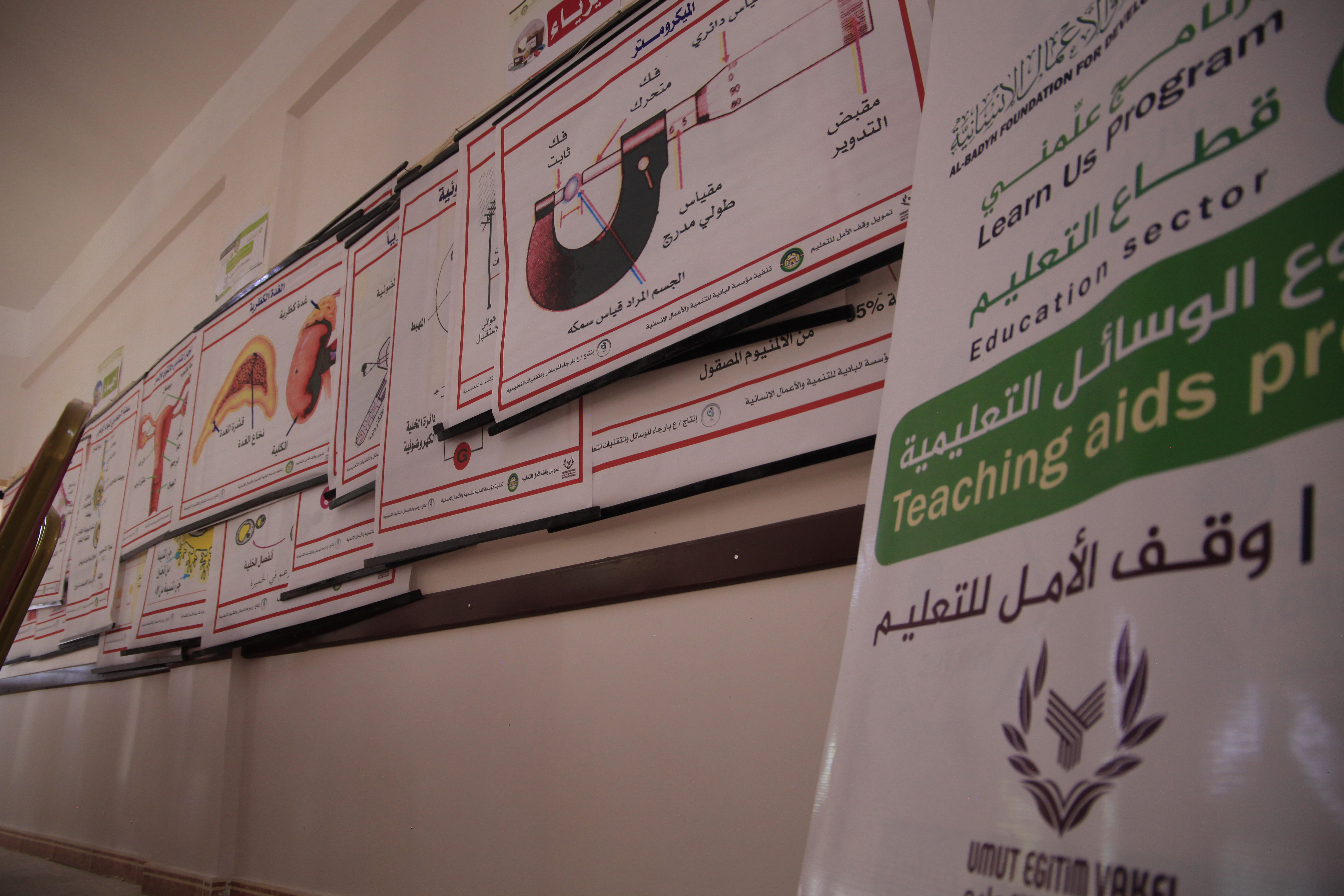 الفئة المستهدفة